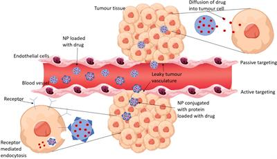 The use of nanoparticles for targeted drug delivery in non-small cell lung cancer